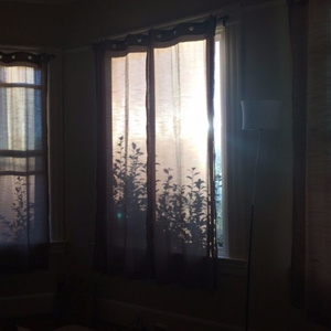 罗宾被发情小麋鹿肉到脱力
