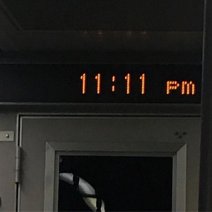 罗宾被发情小麋鹿肉到脱力
