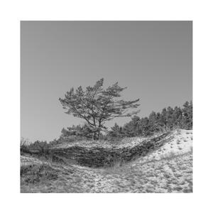 罗宾被发情小麋鹿肉到脱力
